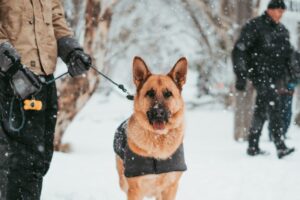 fbi, warning blog, updates